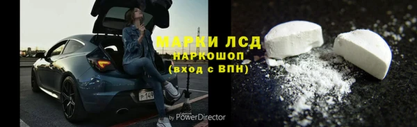 трава Магас
