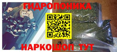 соль ск Новокубанск