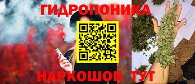 винт Новозыбков