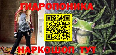 соль ск Новокубанск