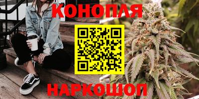 соль ск Новокубанск